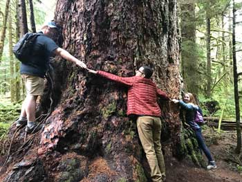 Viking Launch students hold hands and still can't completely surround the  entire old growth tree.